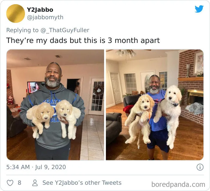 La gente comparte en twitter fotos de sus perros de cachorros y cómo son ahora (30 imágenes)