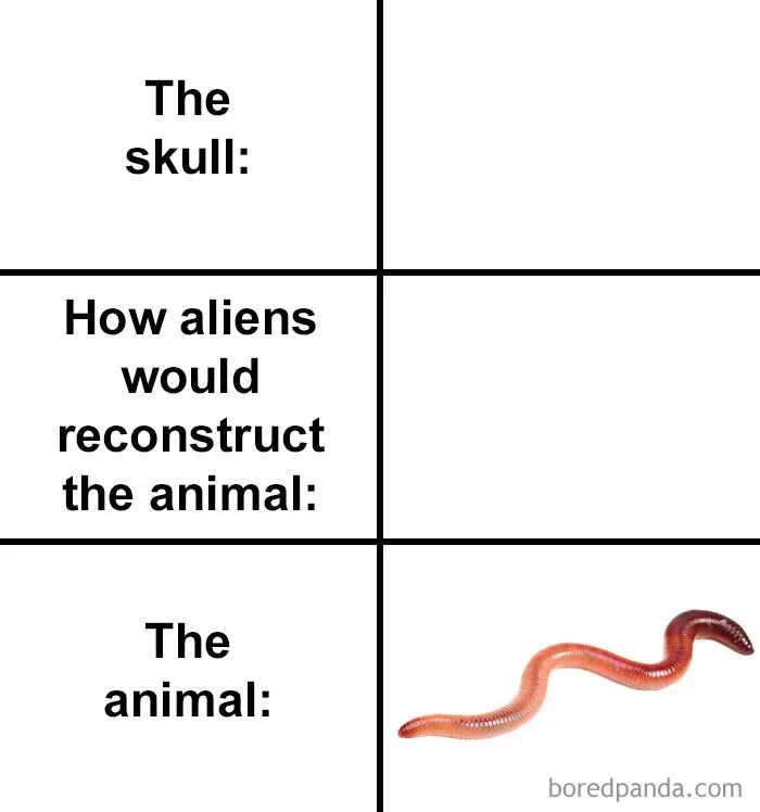 People Compare How Aliens Would Reconstruct Animals Based On Their Skulls Vs. What They Really Look Like (28 Pics)