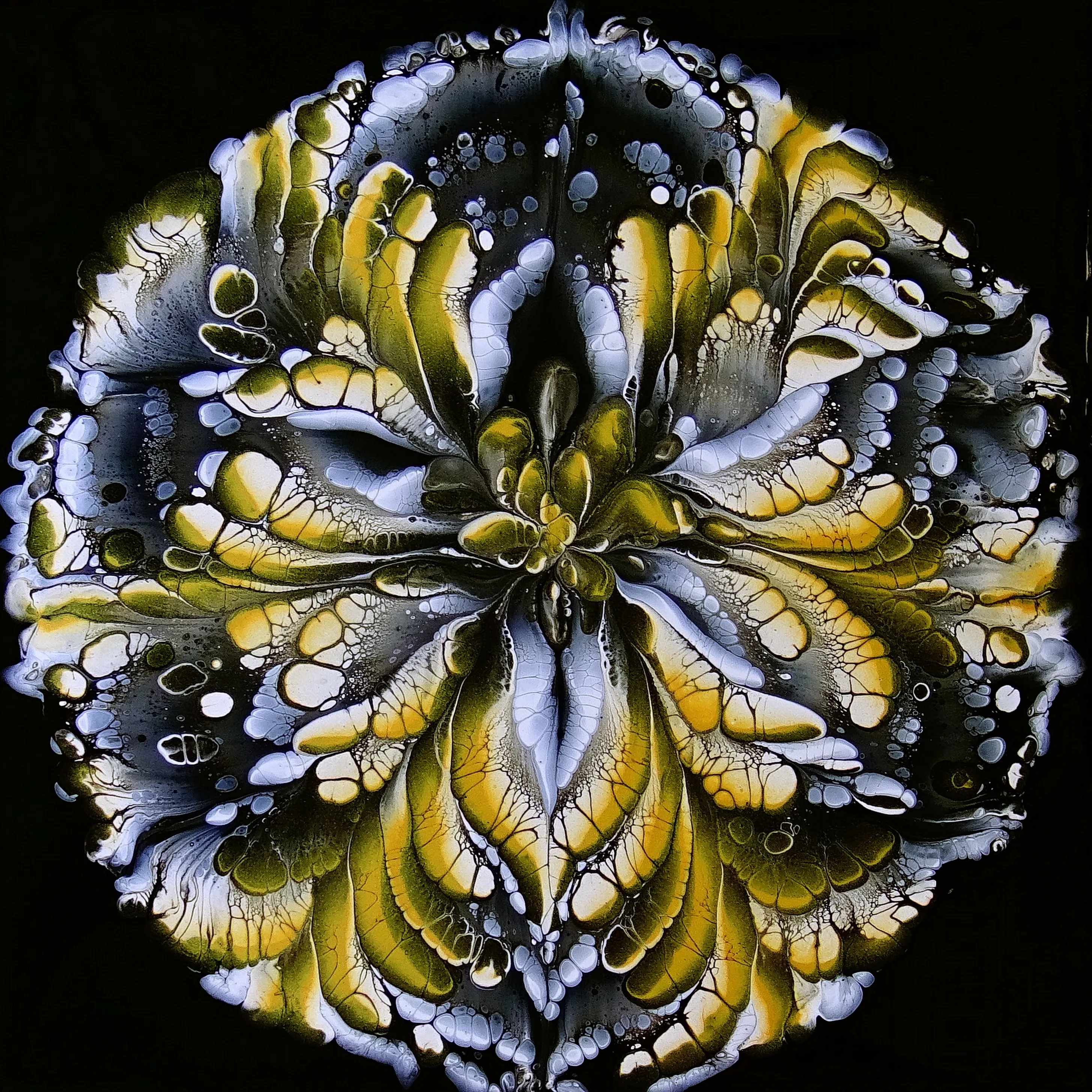 Flower Of Life ~ Cup Bottom Acrylic Pour Painting ~ Fluid Art Technique