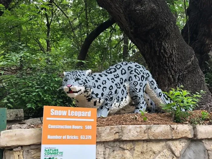 Snow Leopard