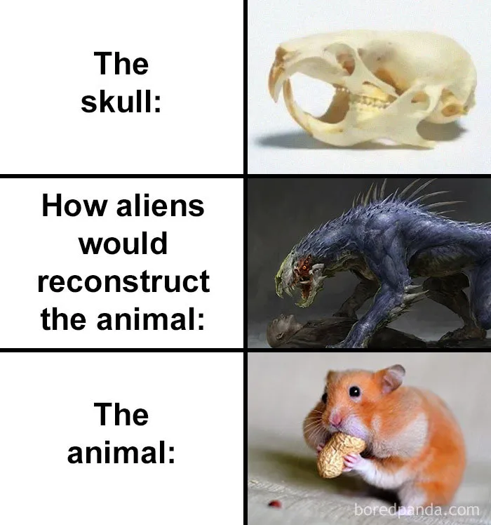 People Compare How Aliens Would Reconstruct Animals Based On Their Skulls Vs. What They Really Look Like (28 Pics)