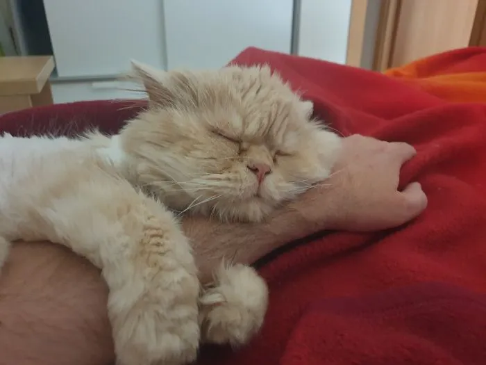 Dont Move, Plz