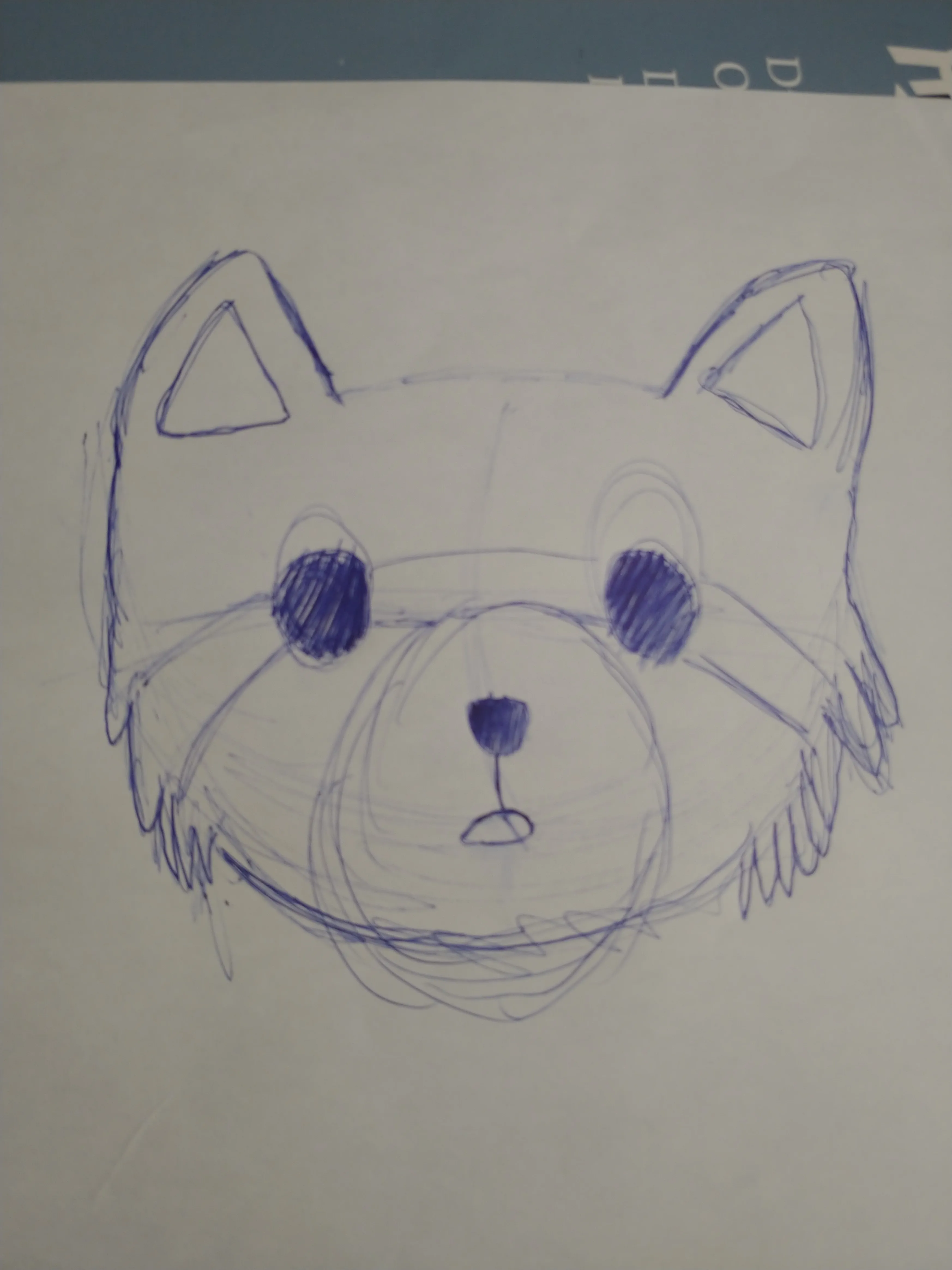 Crappy Racoon Drawing