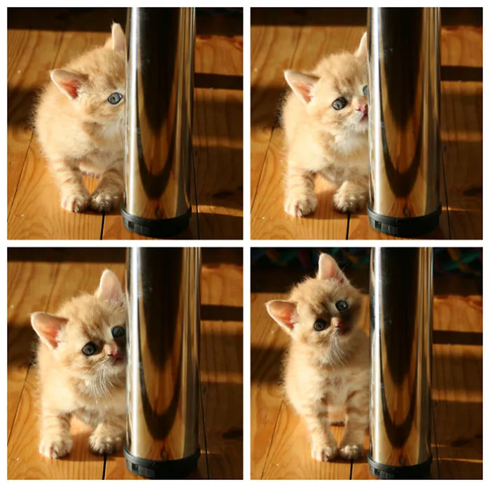 Almost 9 Years Ago. 1 Month + 1 Week Old