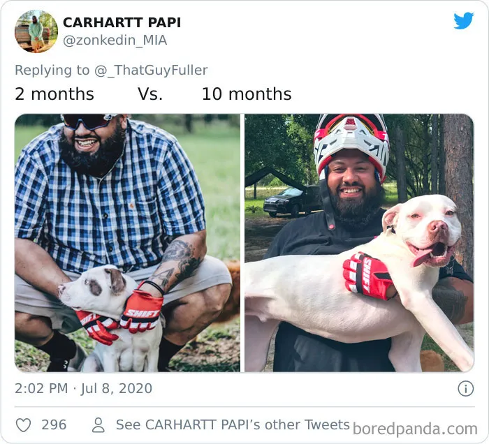 People On Twitter Are Posting Pics Of Their Dogs As Little Puppies Vs. What They Look Like Now (30 Pics)