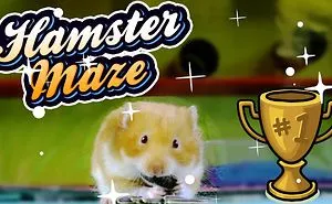 6 Level DIY Hamster Maze 🐹