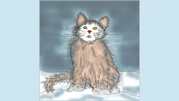 So Cold! Let Me In!