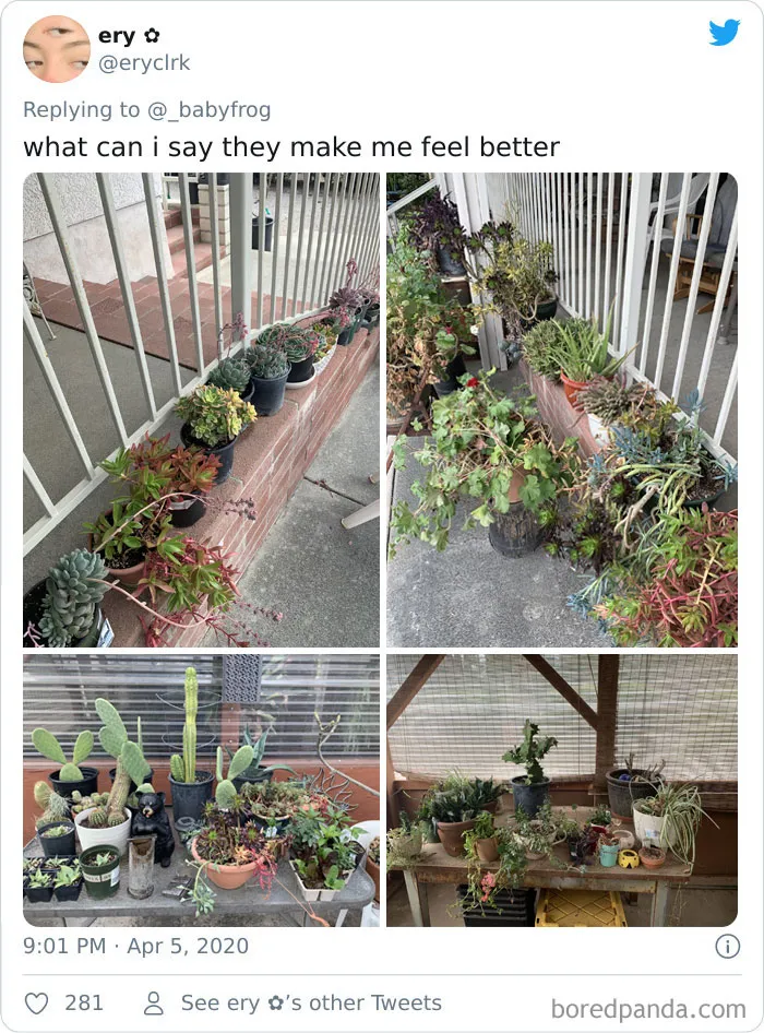 People Are Saying This Comic About Plants Is So True, And Post Pics To Prove It (30 Pics)