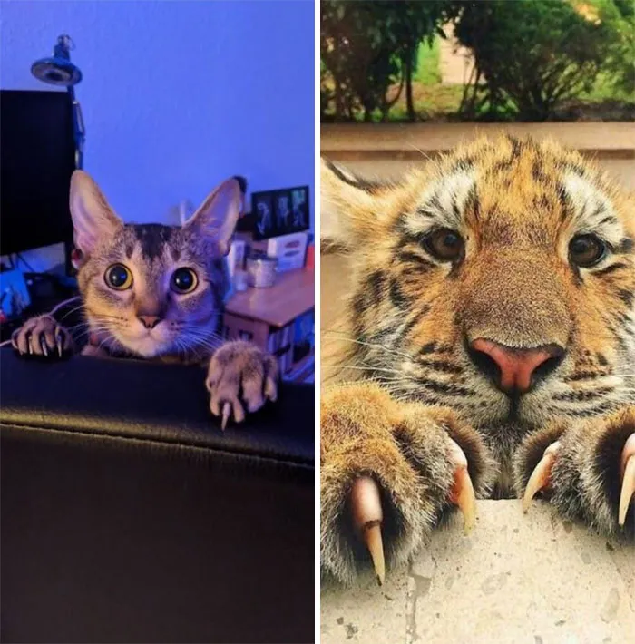 She Looked Familiar...