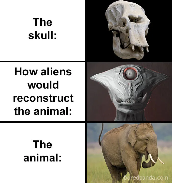People Compare How Aliens Would Reconstruct Animals Based On Their Skulls Vs. What They Really Look Like (28 Pics)