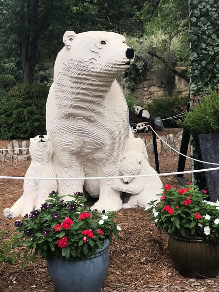 Polar Bears