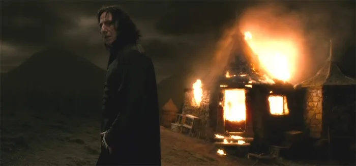 After Harry Screams At Snape For Killing Dumbledore And Bellatrix Knocks Him To The Ground, Snape Makes Sure The Others Go On Without Him And That Harry Is Safe Before He Leaves