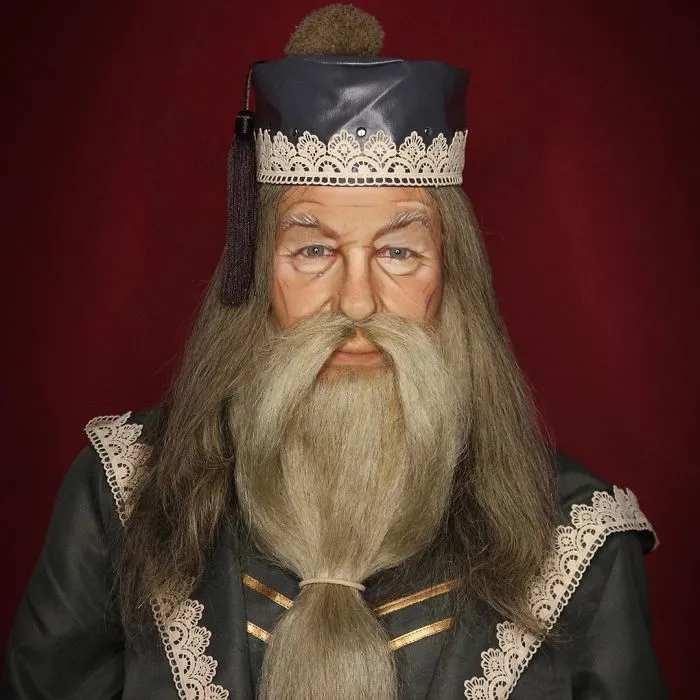 Professor Albus Dumbledore