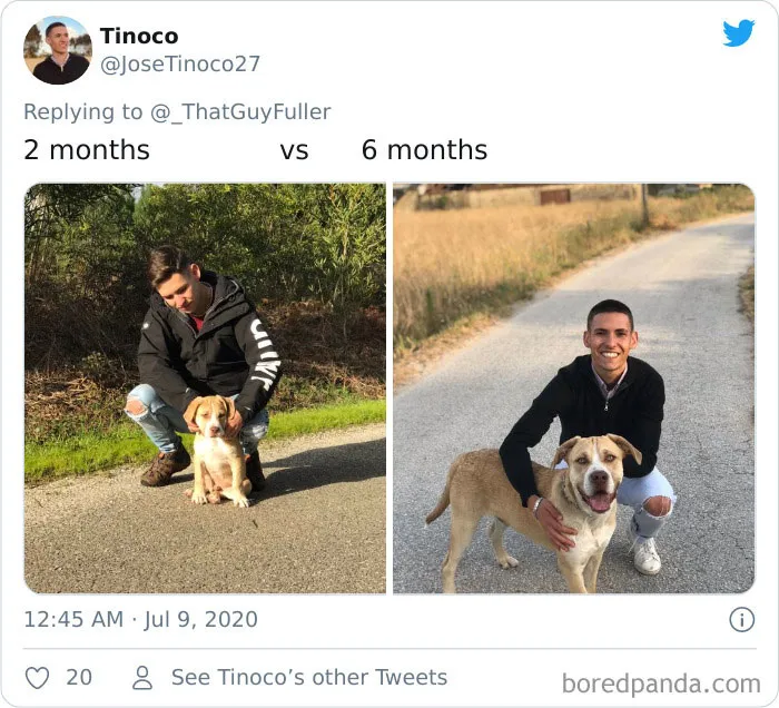 People On Twitter Are Posting Pics Of Their Dogs As Little Puppies Vs. What They Look Like Now (30 Pics)