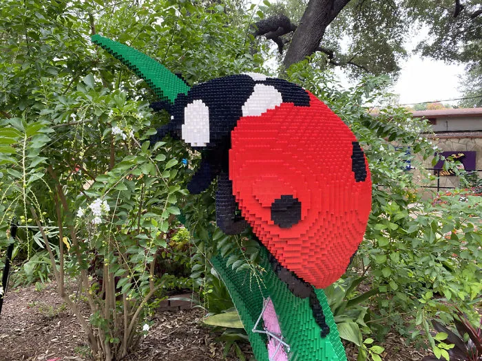 Ladybug