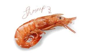 Amateur Artist In London Spends Covid-19 Lockdown Illustrating Incredibly Realistic Food And It Will Make You Drool [13 Pics]