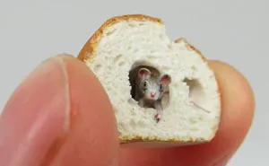30 Biologically Accurate Miniature Animals Created By Renowned Hungarian Artist Fanni Sandor