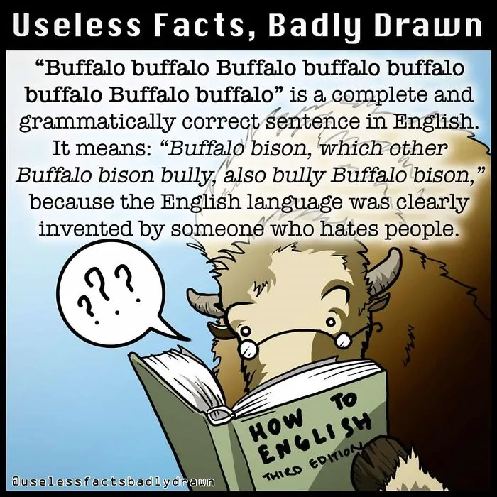"Useless Facts, Badly Drawn": 33 Random Bits Of Trivia That Are Totally True