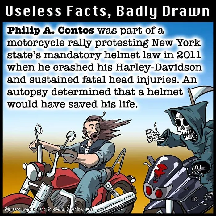 "Useless Facts, Badly Drawn": 33 Random Bits Of Trivia That Are Totally True