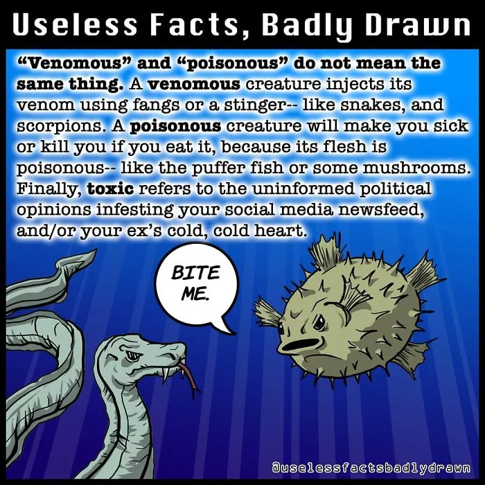 "Useless Facts, Badly Drawn": 33 Random Bits Of Trivia That Are Totally True