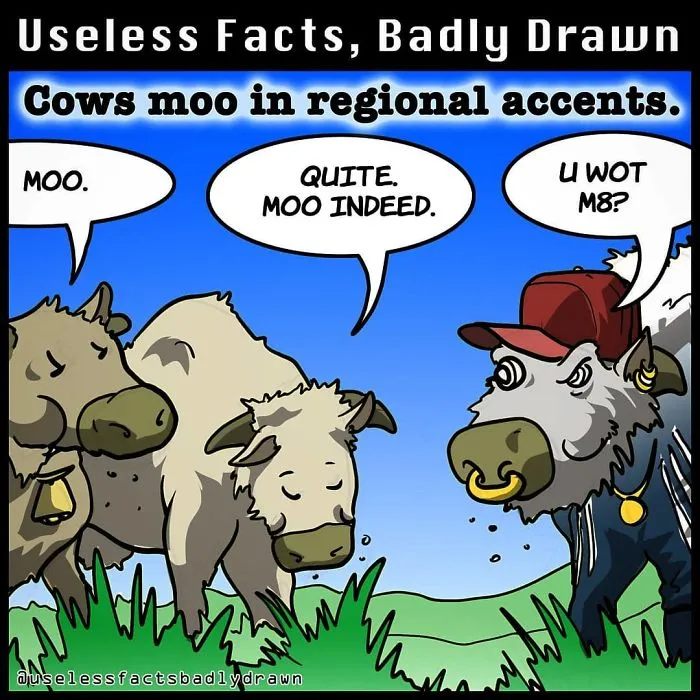 "Useless Facts, Badly Drawn": 33 Random Bits Of Trivia That Are Totally True