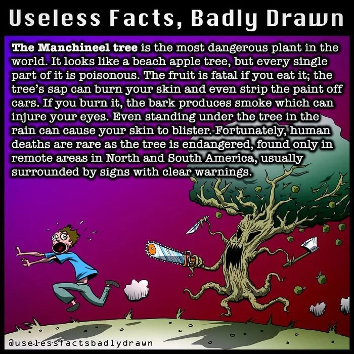 "Useless Facts, Badly Drawn": 33 Random Bits Of Trivia That Are Totally True