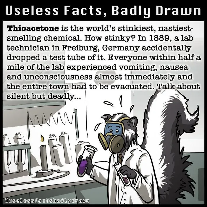 "Useless Facts, Badly Drawn": 33 Random Bits Of Trivia That Are Totally True