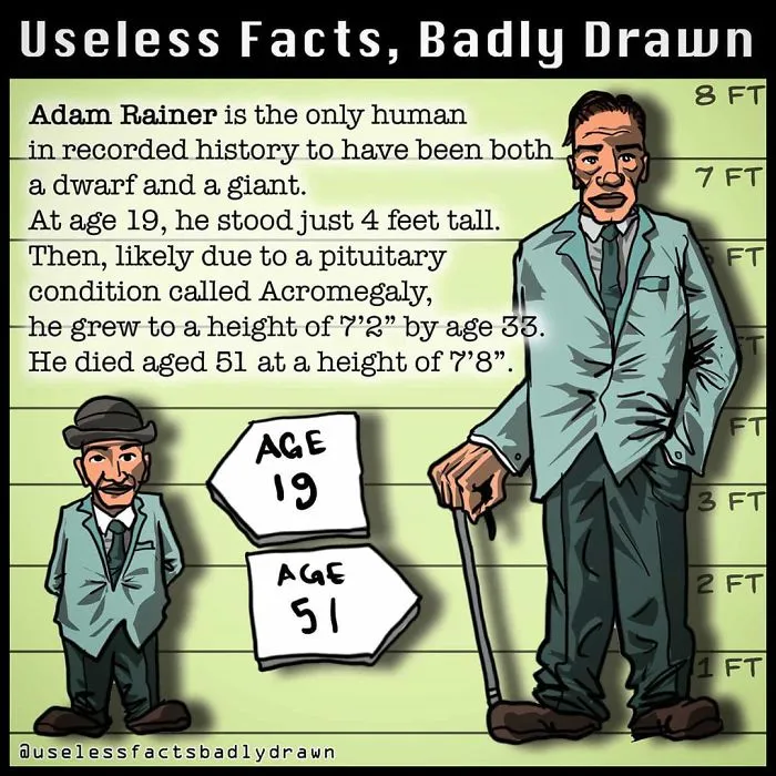 "Useless Facts, Badly Drawn": 33 Random Bits Of Trivia That Are Totally True