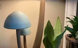 30 Times People Found Such Great Secondhand Lamps It Was Too Good Not To Share