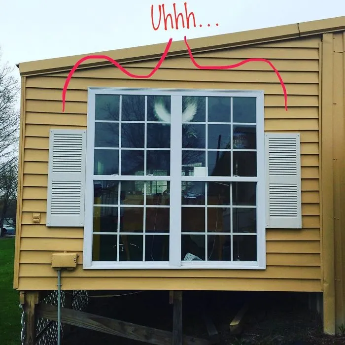 Carpenter Makes Fun Of Ridiculous Window Shutters On This Instagram And Here Are 30 Of The Funniest Pics