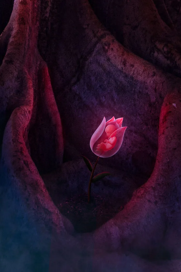 The Flower Of Life