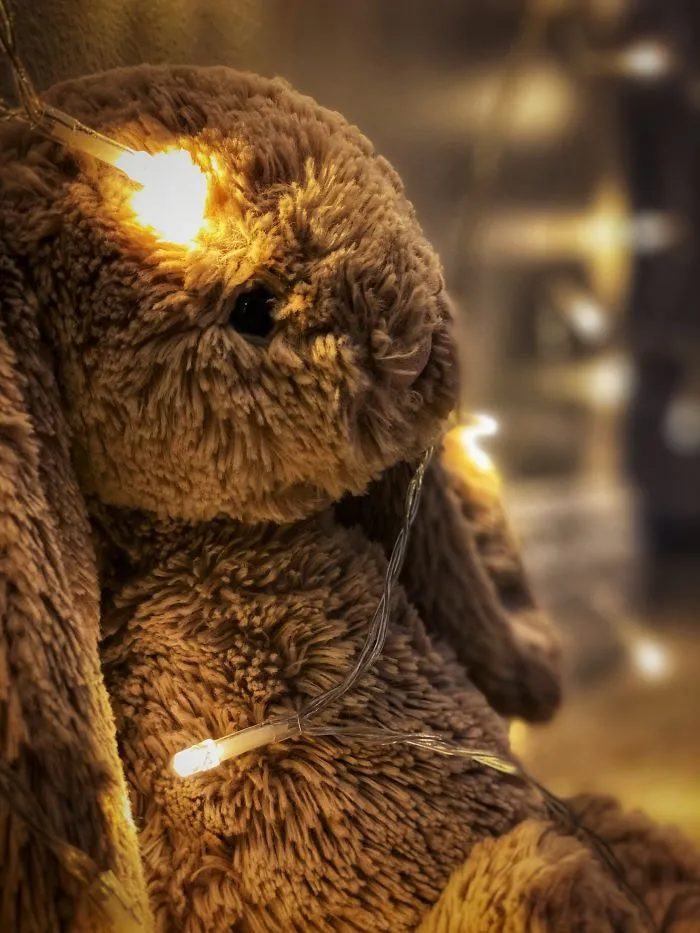 Peter The Bunny