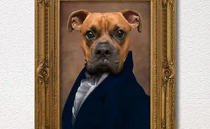 The Pet Painting Ambassador