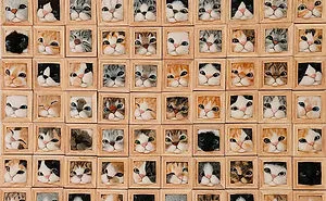 Here Are 30 Of This Japanese Felt Artist's Cutest Cat Frames