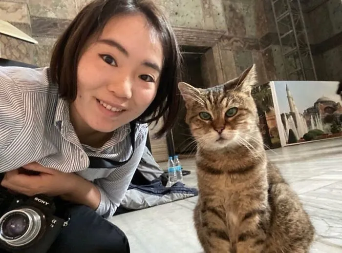 There's A Cat Permanently Living In The Hagia Sophia In Istanbul (30 Pics)