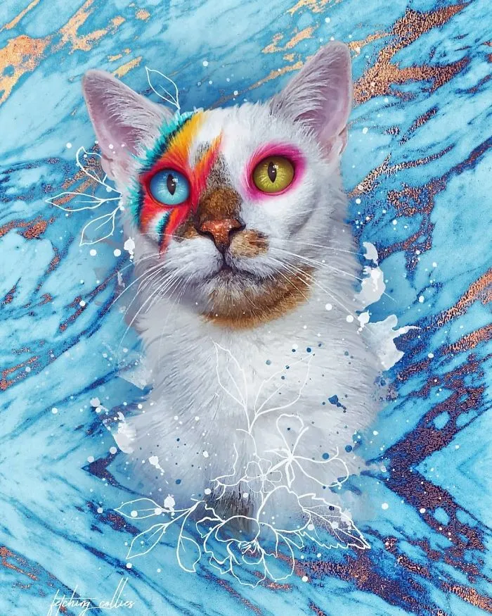 Meet Bowie, The Cat Who's Going Viral For 2 Reasons - His Right Eye And His Left Eye (30 Pics)