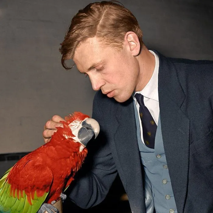 Sir David Attenborough, acariciando un guacamayo en 1950-51