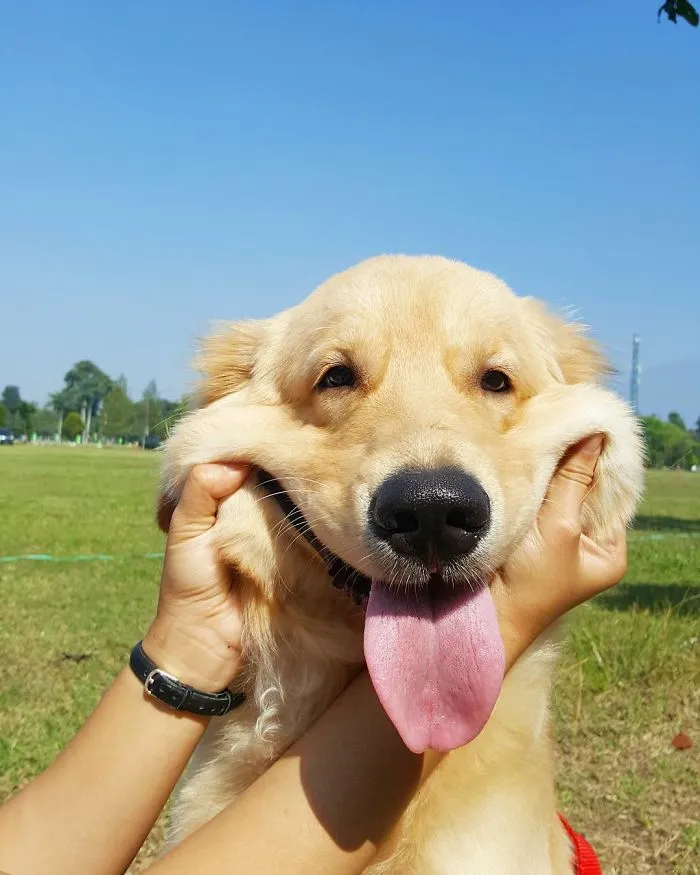 Squishy Cheeks