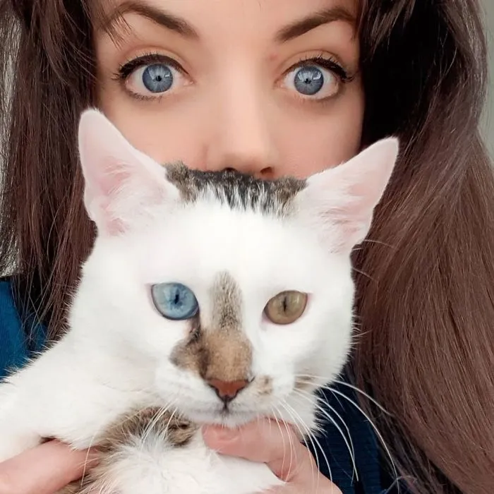 Meet Bowie, The Cat Who's Going Viral For 2 Reasons - His Right Eye And His Left Eye (30 Pics)