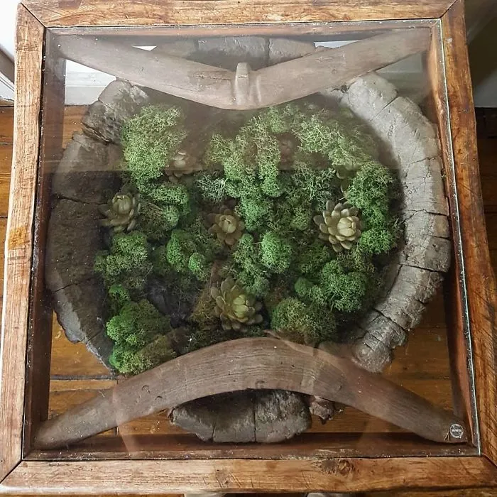 31 Times People Made Their Home Greener By Turning Tables Into Succulent Gardens