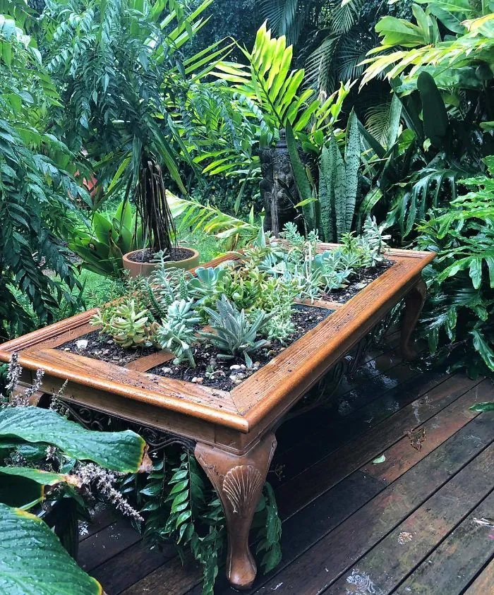 31 Times People Made Their Home Greener By Turning Tables Into Succulent Gardens