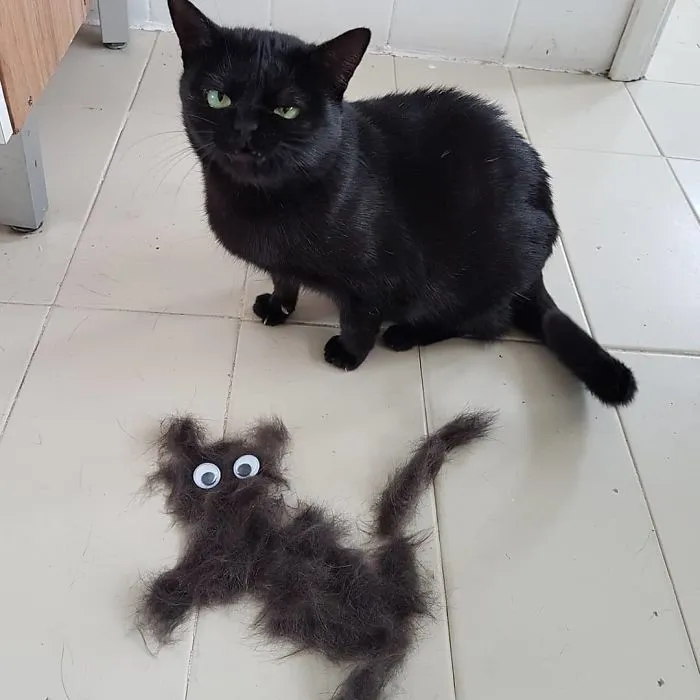 "Am I A Joke To You, Karen?"