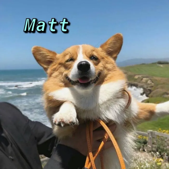 You Can Now Find Out What Dog You Are Based On Your Name (40 Pics)