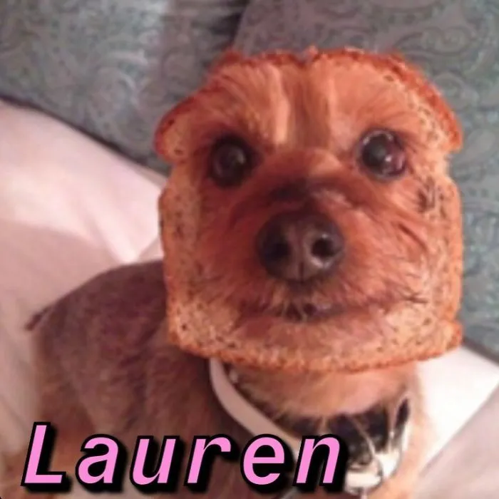 You Can Now Find Out What Dog You Are Based On Your Name (40 Pics)