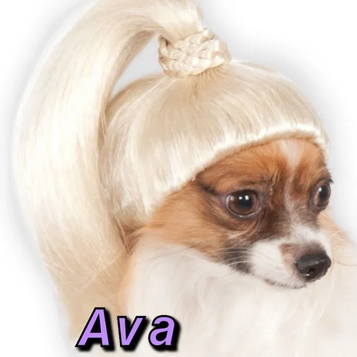 You Can Now Find Out What Dog You Are Based On Your Name (40 Pics)