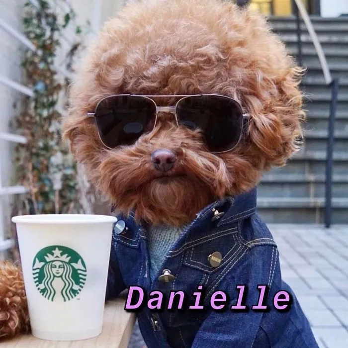 You Can Now Find Out What Dog You Are Based On Your Name (40 Pics)