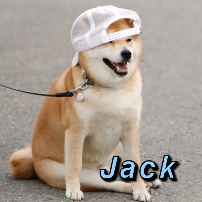 You Can Now Find Out What Dog You Are Based On Your Name (40 Pics)