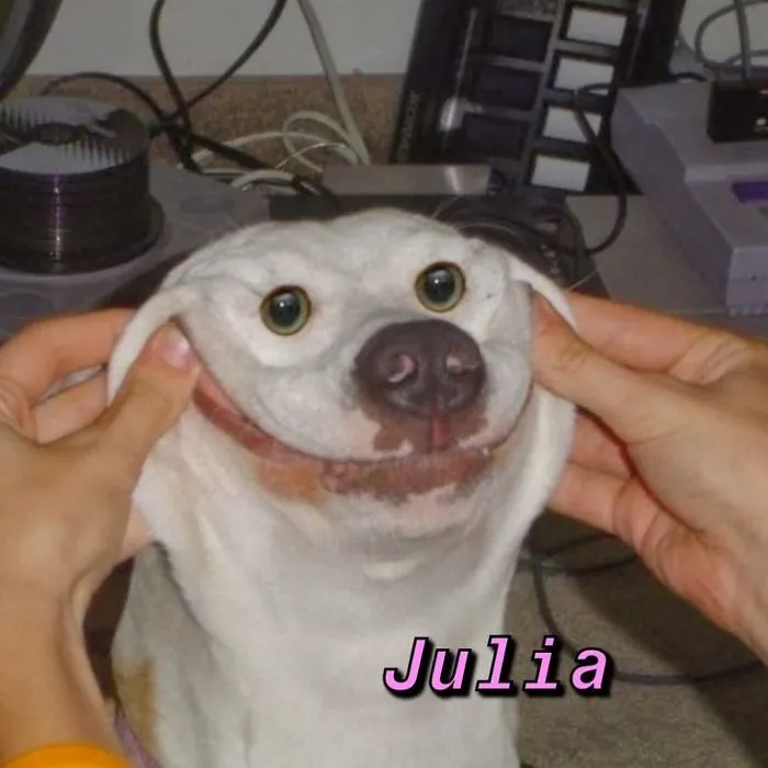 You Can Now Find Out What Dog You Are Based On Your Name (40 Pics)