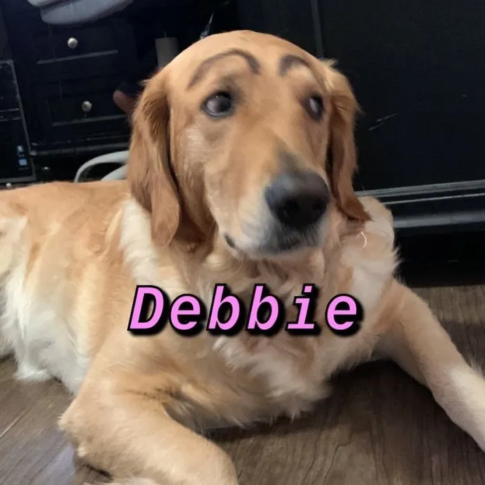 You Can Now Find Out What Dog You Are Based On Your Name (40 Pics)