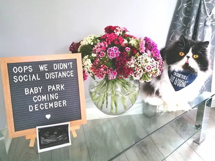 33 Couples That Failed At Social Distancing And Revealed These "Quarantine Baby" Announcements